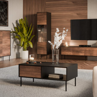 Nábytek do obývacího pokoje AKAGI 1 černá / ořech